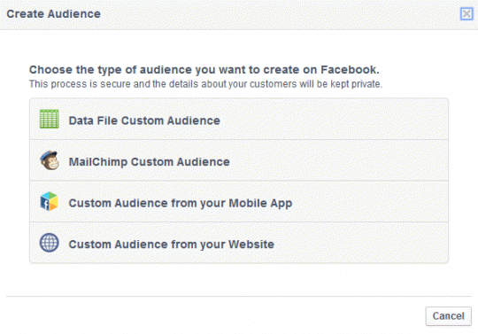 custom-audiences